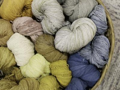 Foto: Colourbox