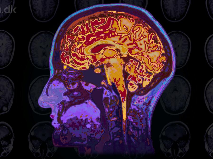 Videnskabelige foredrag